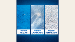 Vidrio plano y curvado templado y laminado: seguridad para vitrinas y retail