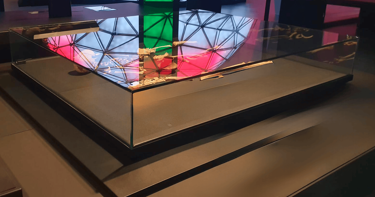 VITRINA FABRICADA CON VIDRIO PLANO TEMPLADO 8